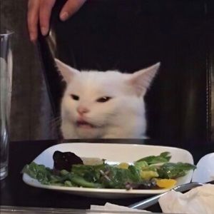 Meet your Posher, Chad